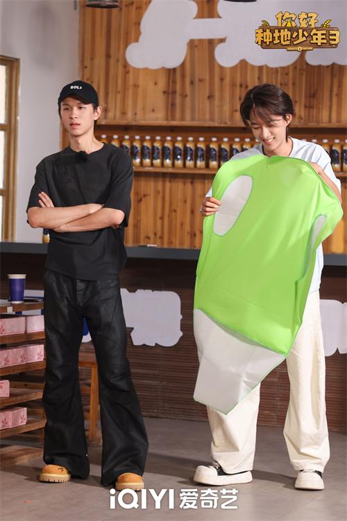 1766374294184869.jpg 3.jpg