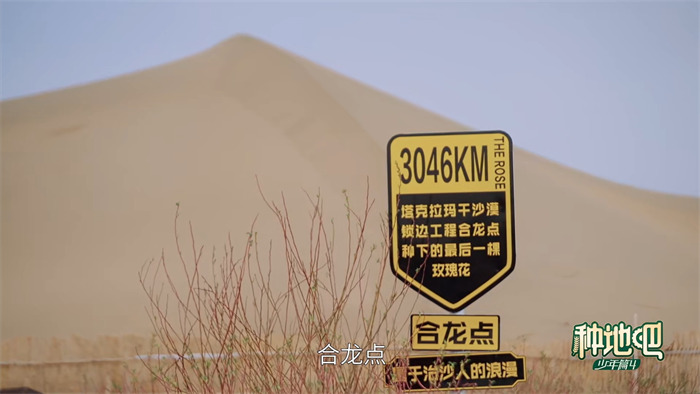 图5.png